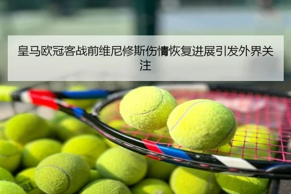皇马欧冠客战前维尼修斯伤情恢复进展引发外界关注