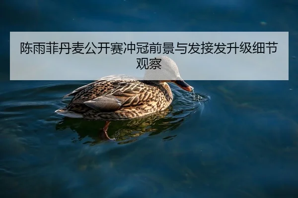 陈雨菲丹麦公开赛冲冠前景与发接发升级细节观察
